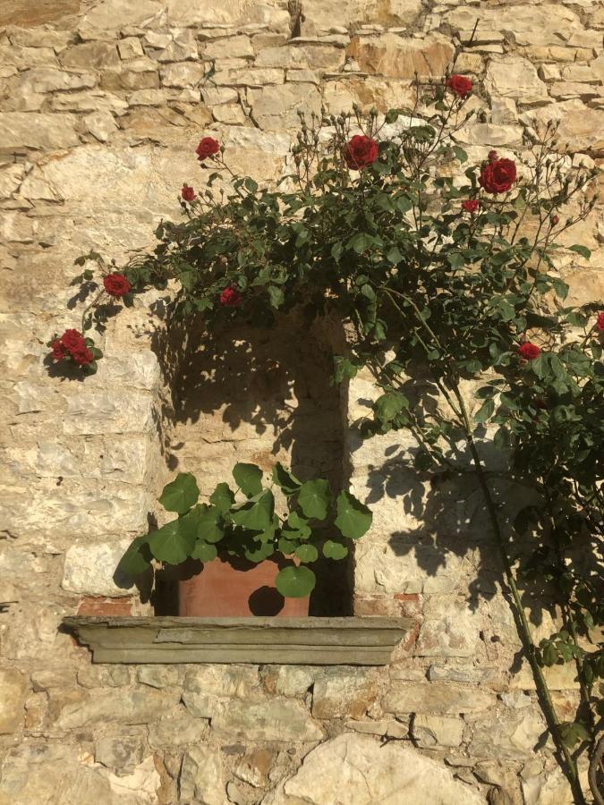 Mea Casa Toscana Кастелліна-ін-К'янті Екстер'єр фото