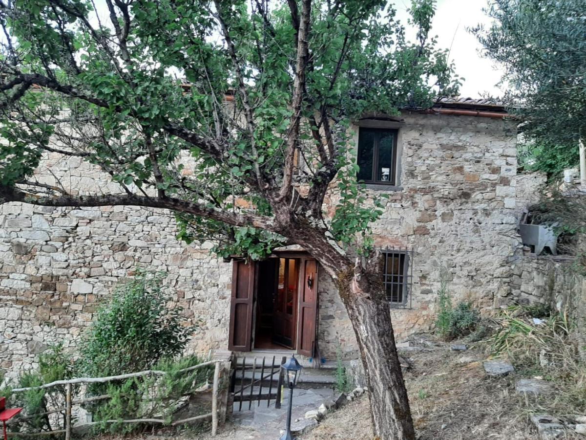 Mea Casa Toscana Кастелліна-ін-К'янті Екстер'єр фото
