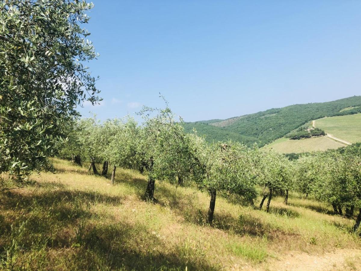 Mea Casa Toscana Кастелліна-ін-К'янті Екстер'єр фото